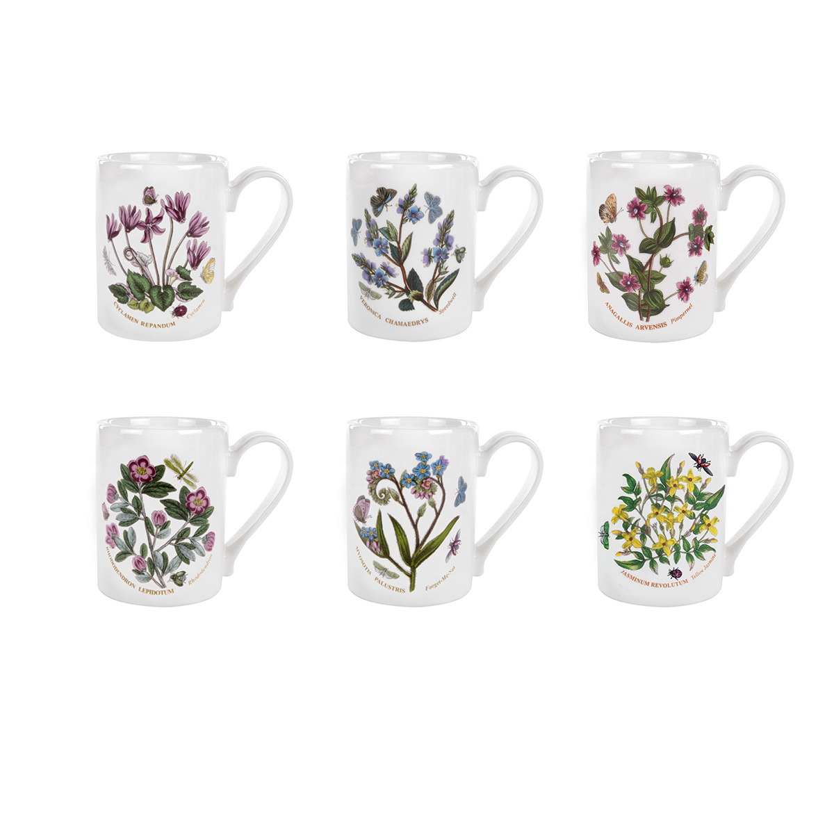 Botanic Garden Set of 6 Coffee Mugs image number null